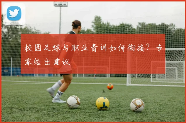 校园足球与职业青训如何衔接？专家给出建议