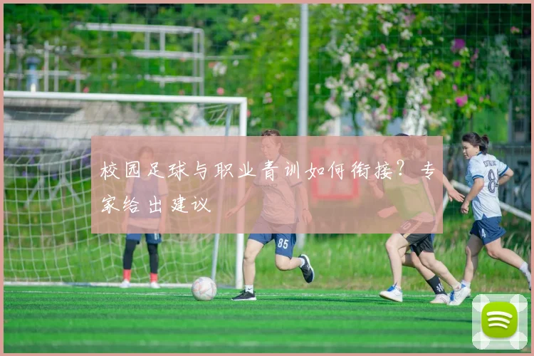 校园足球与职业青训如何衔接？专家给出建议