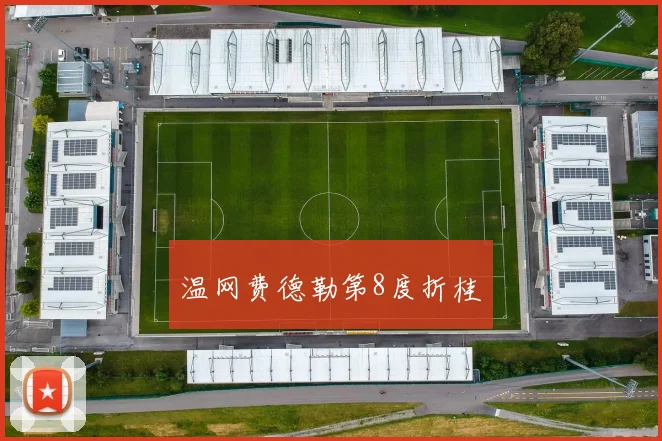 温网费德勒第8度折桂