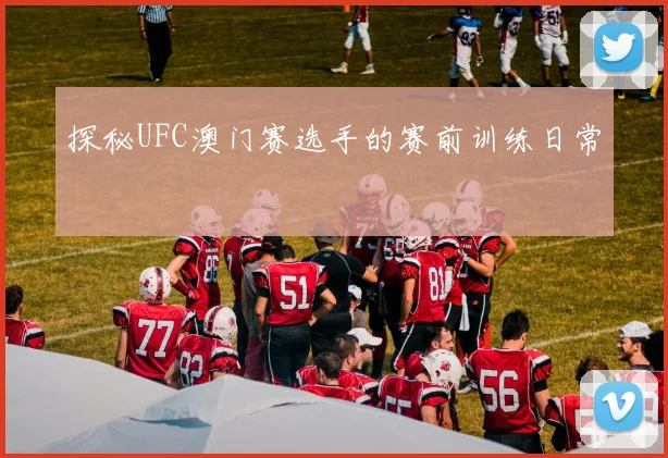 探秘UFC澳门赛选手的赛前训练日常