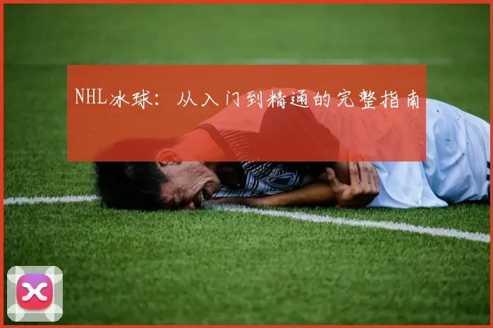 NHL冰球:从入门到精通的完整指南